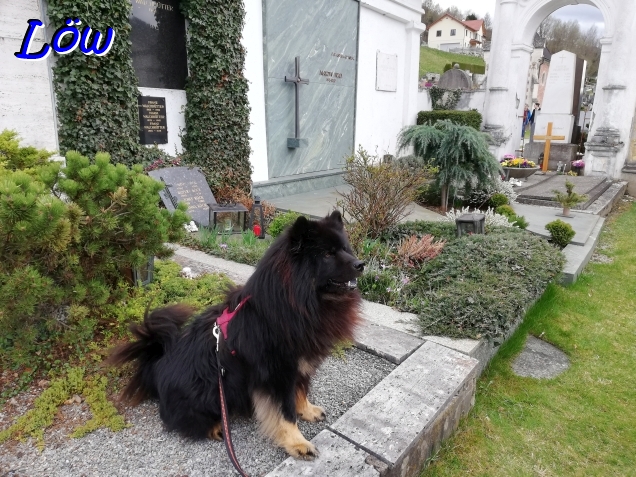 4.4.2026 - Grabw&auml;chter